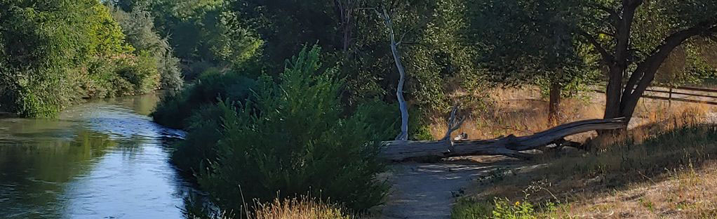 Jordan River Trail